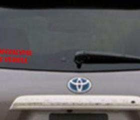 Zombie Apocalypse Car Decal